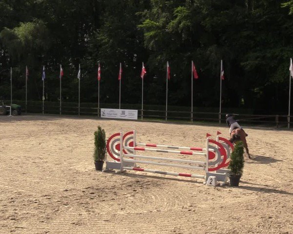 Reitturnier Klein Roscharden 2024