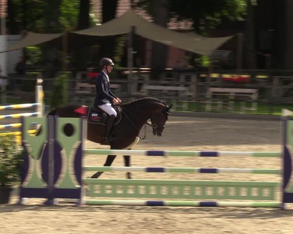 Reitturnier Klein Roscharden 2024