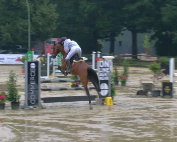 Reitturnier Stadtlohn 2024
