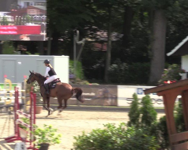 Reitturnier Klein Roscharden 2024