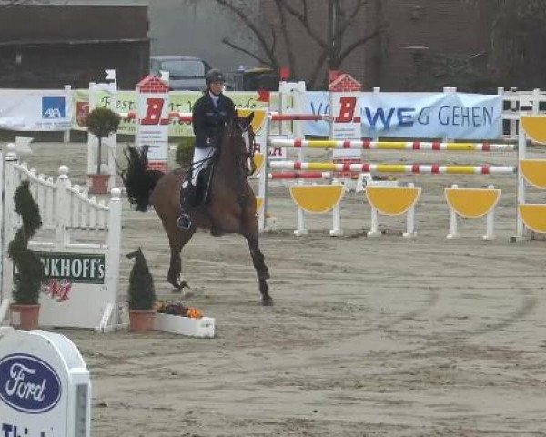 Lenklarer Reitertage auf der Reitsportanlage Gripshöver 2013