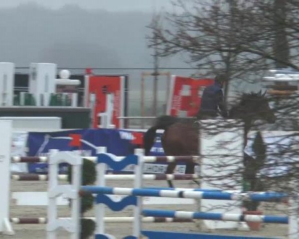 Lenklarer Reitertage auf der Reitsportanlage Gripshöver 2013