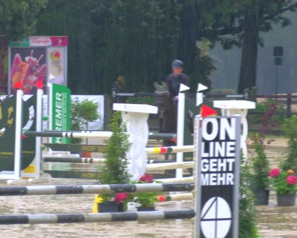 Reitturnier Stadtlohn 2024
