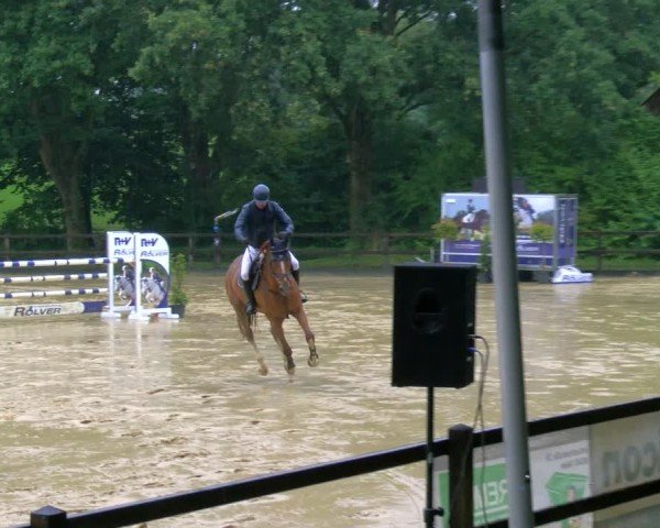 Reitturnier Stadtlohn 2024