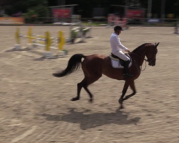 Reitturnier Klein Roscharden 2024