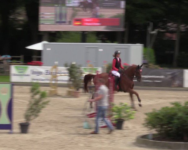 Reitturnier Klein Roscharden 2024