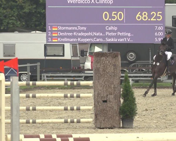 Reitturnier Nettetal-Lobberich 2024