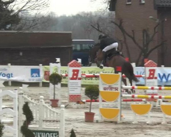 Reitturnier Werne-Lenklar 2013