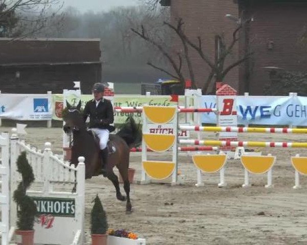 Lenklarer Reitertage auf der Reitsportanlage Gripshöver 2013