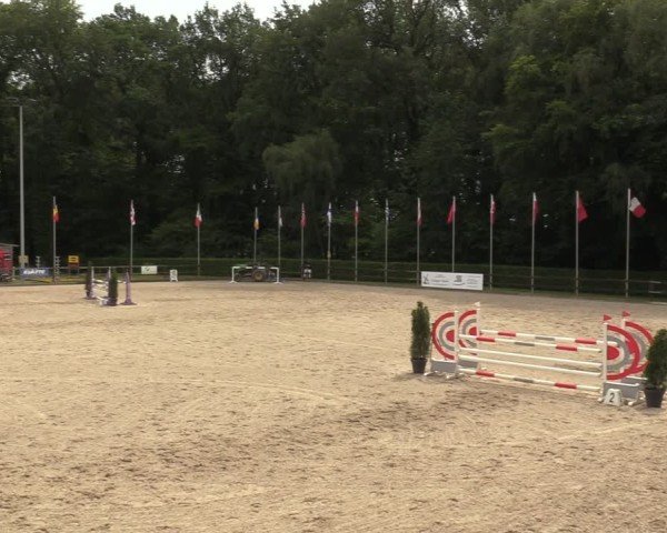 Reitturnier Klein Roscharden 2024
