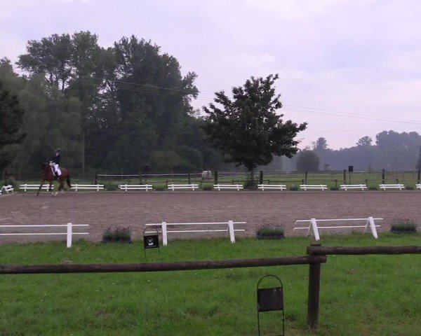 Reitturnier Nettetal-Lobberich 2024
