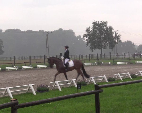 Reitturnier Nettetal-Lobberich 2024