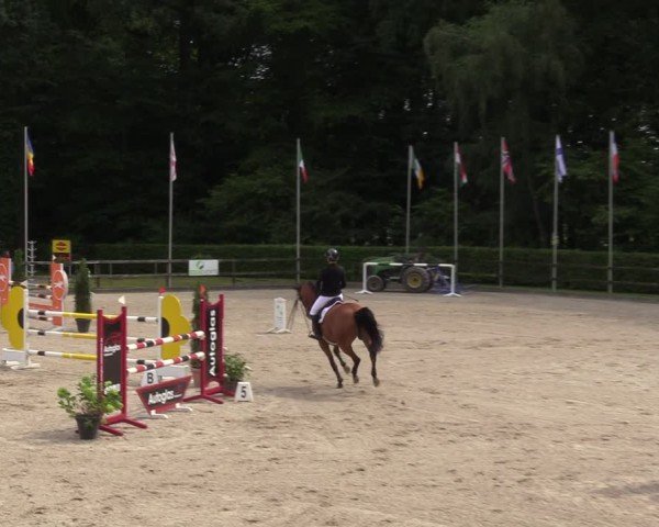 Reitturnier Klein Roscharden 2024