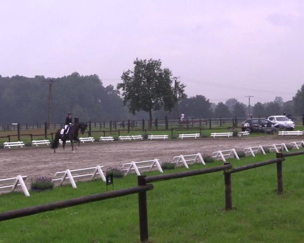Reitturnier Nettetal-Lobberich 2024