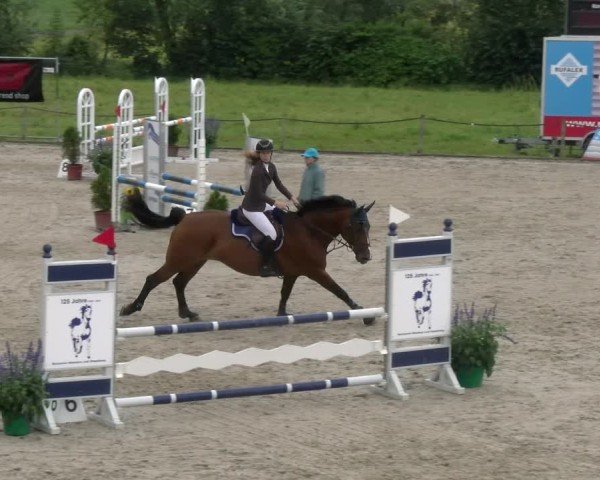Reitturnier Gossau 2024