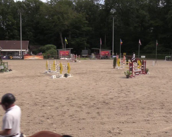 Reitturnier Klein Roscharden 2024