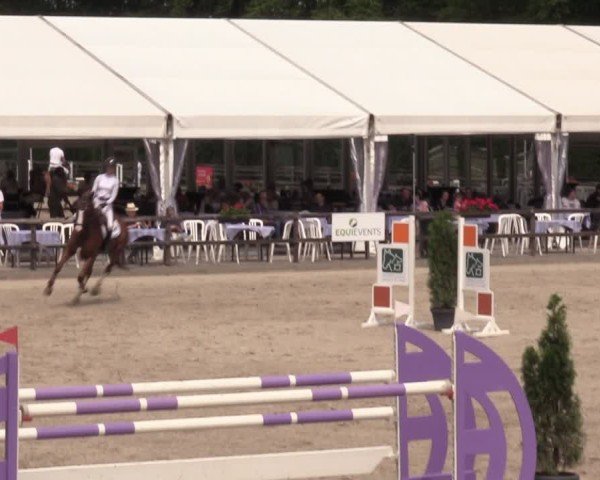 Reitturnier Klein Roscharden 2024