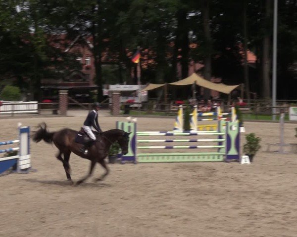 Reitturnier Klein Roscharden 2024