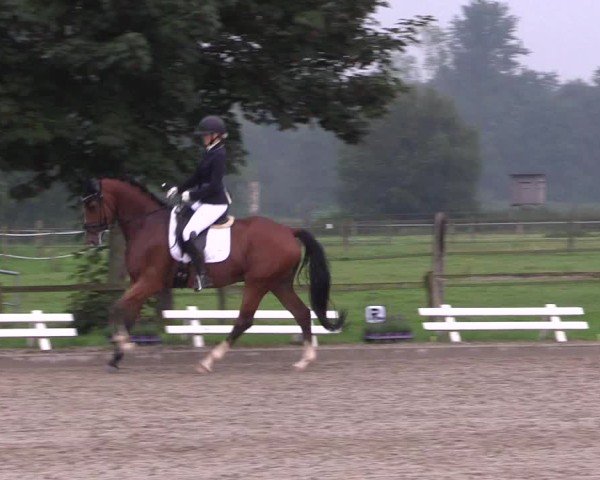 Reitturnier Nettetal-Lobberich 2024