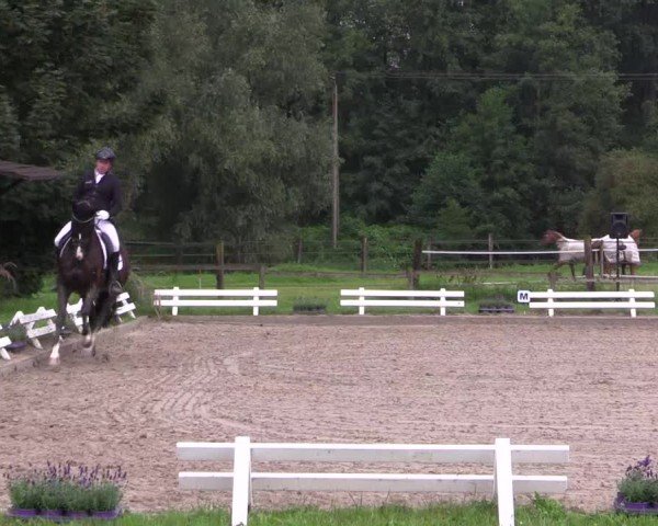 Reitturnier Nettetal-Lobberich 2024