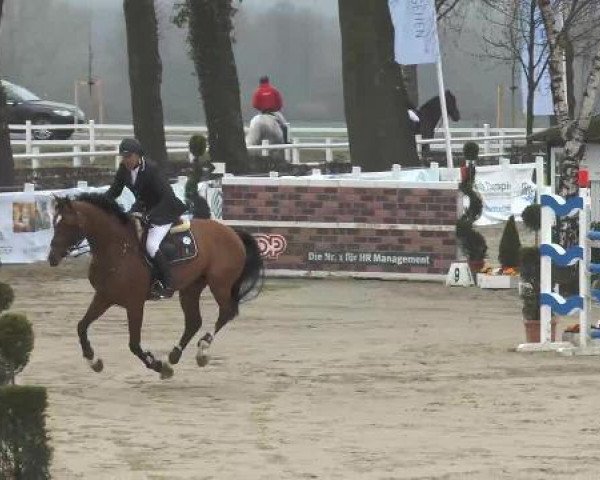 Lenklarer Reitertage auf der Reitsportanlage Gripshöver 2013