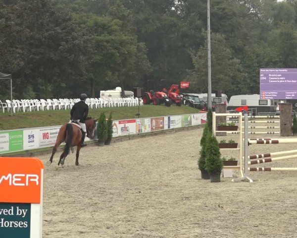 Reitturnier Nettetal-Lobberich 2024