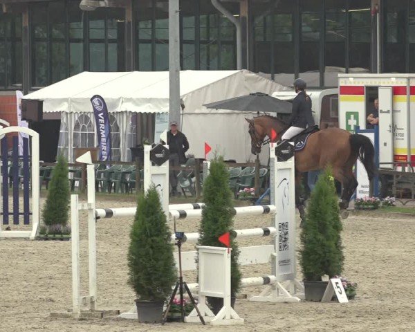 Reitturnier Nettetal-Lobberich 2024