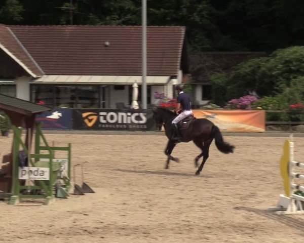 Reitturnier Klein Roscharden 2024