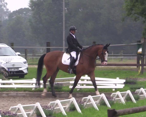Reitturnier Nettetal-Lobberich 2024