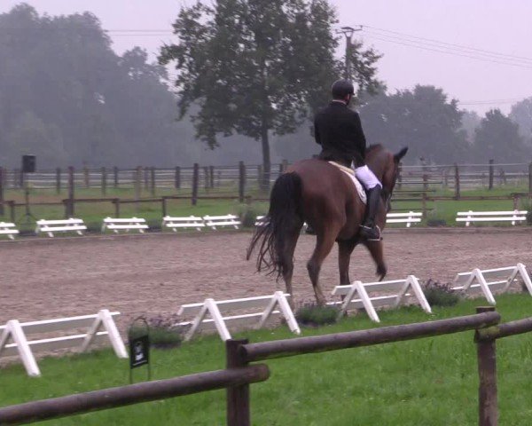 Reitturnier Nettetal-Lobberich 2024