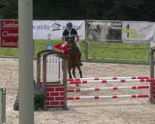 Reitturnier Gossau 2024