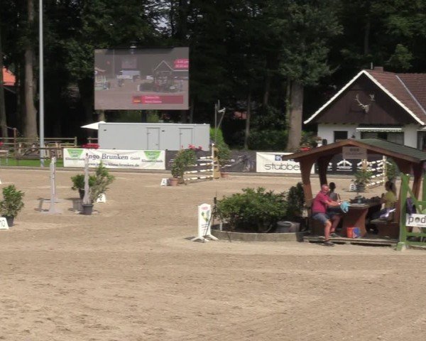 Reitturnier Klein Roscharden 2024