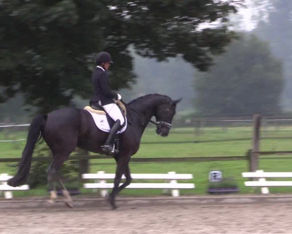 Reitturnier Nettetal-Lobberich 2024