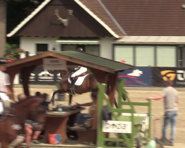 Reitturnier Klein Roscharden 2024