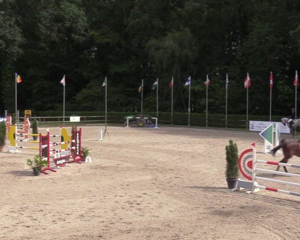 Reitturnier Klein Roscharden 2024