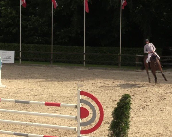 Reitturnier Klein Roscharden 2024