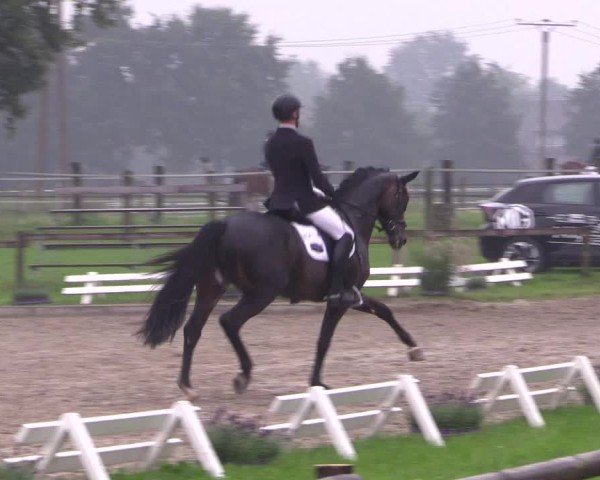 Reitturnier Nettetal-Lobberich 2024