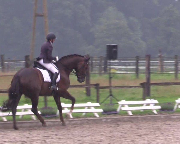 Reitturnier Nettetal-Lobberich 2024