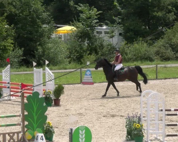 Reitturnier Gossau 2024