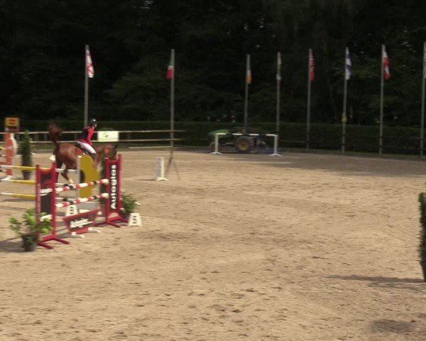 Reitturnier Klein Roscharden 2024