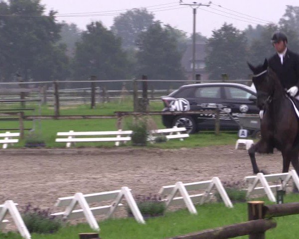 Reitturnier Nettetal-Lobberich 2024
