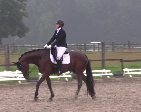Reitturnier Nettetal-Lobberich 2024