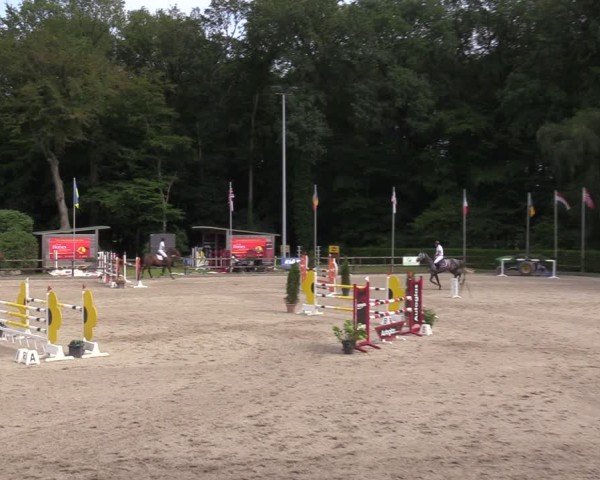 Reitturnier Klein Roscharden 2024