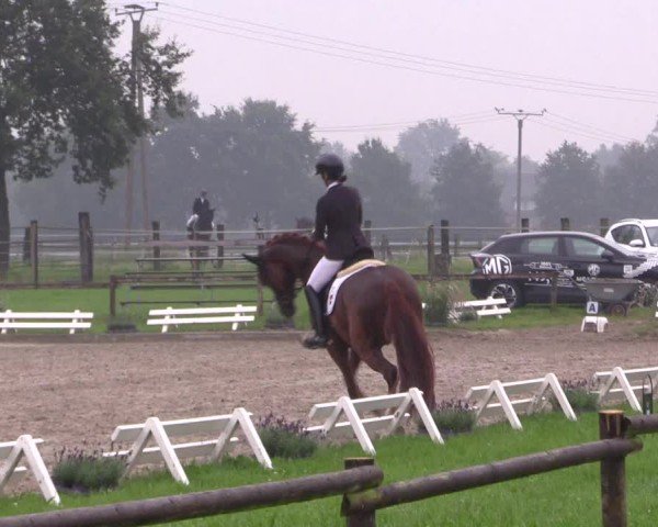 Reitturnier Nettetal-Lobberich 2024