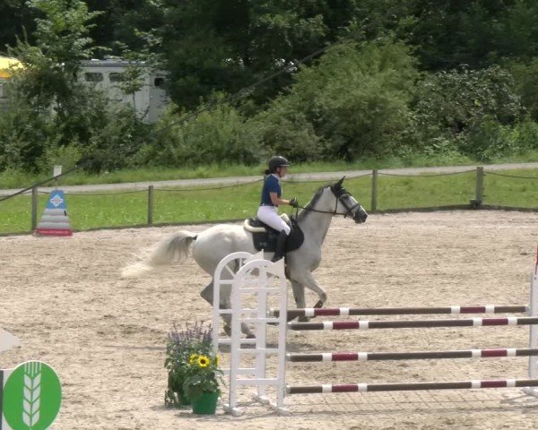 Reitturnier Gossau 2024