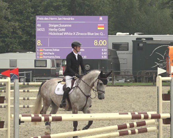 Reitturnier Nettetal-Lobberich 2024