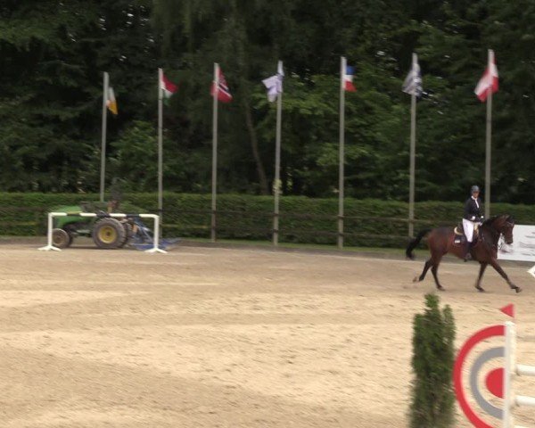 Reitturnier Klein Roscharden 2024