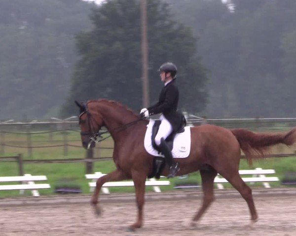 Reitturnier Nettetal-Lobberich 2024