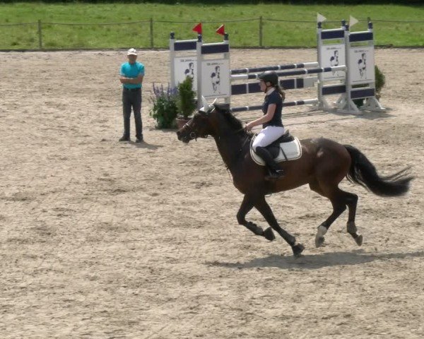 Reitturnier Gossau 2024