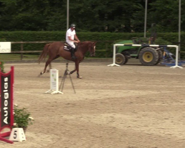 Reitturnier Klein Roscharden 2024